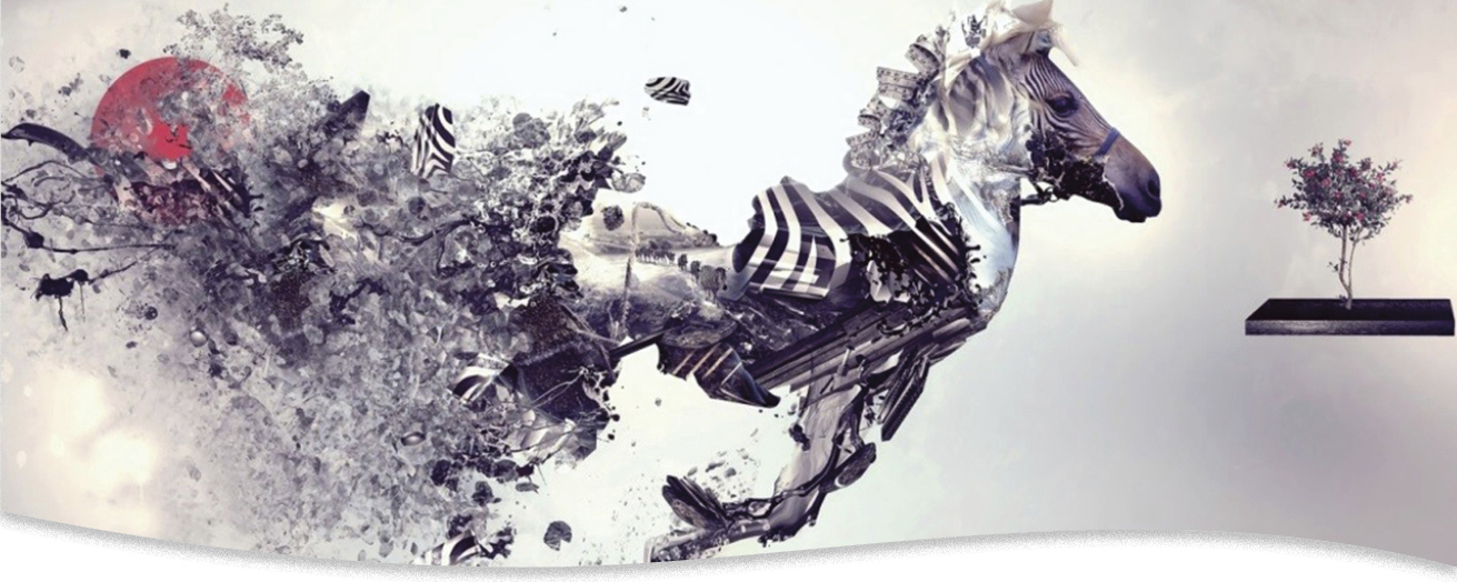 poster pvc online
